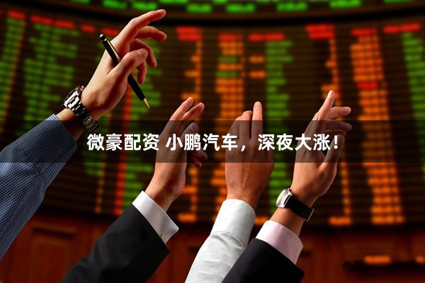 微豪配资 小鹏汽车，深夜大涨！