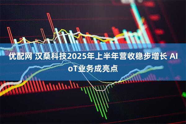 优配网 汉桑科技2025年上半年营收稳步增长 AIoT业务成亮点